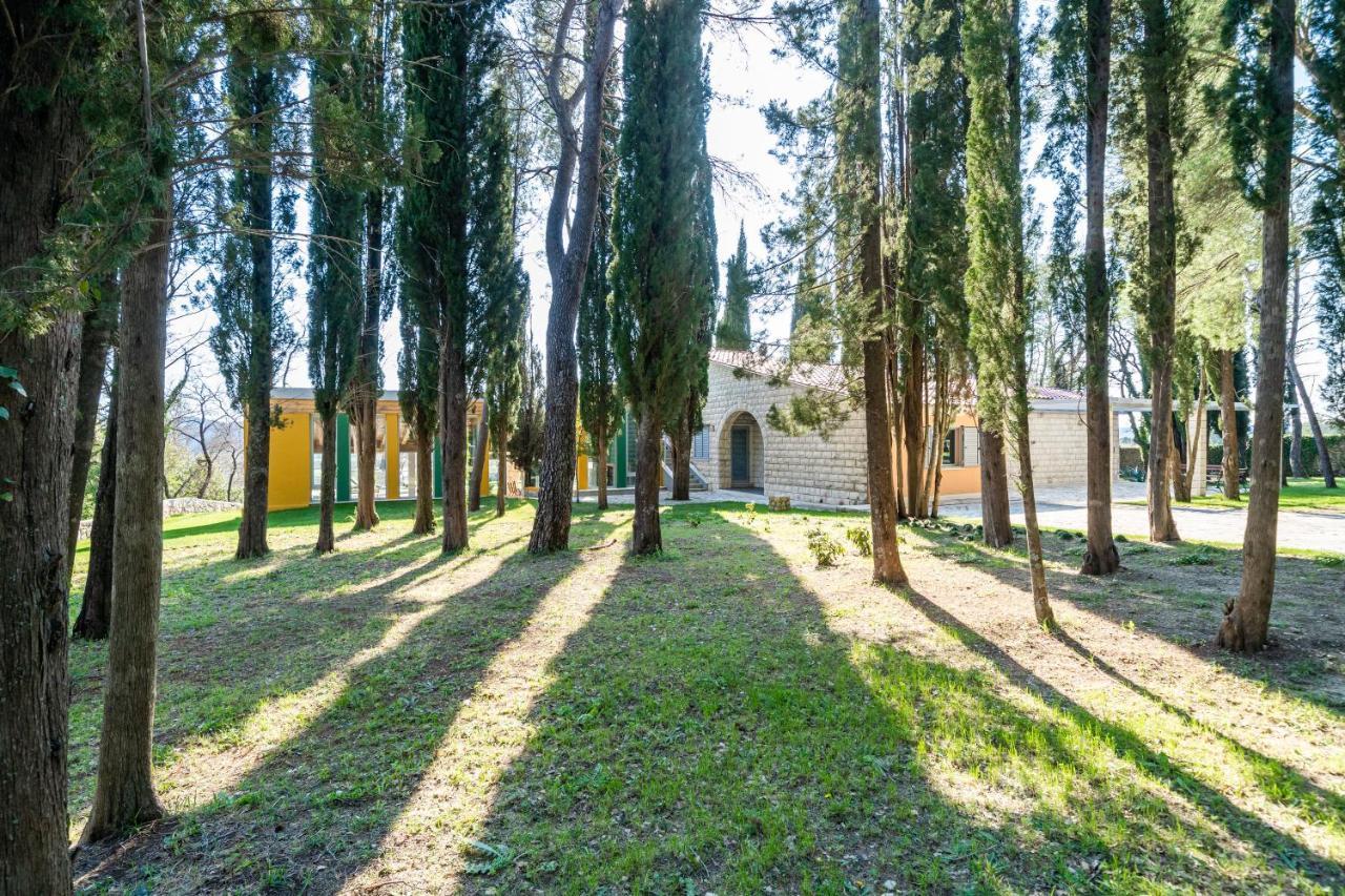 Villa Agave Gruda Екстер'єр фото