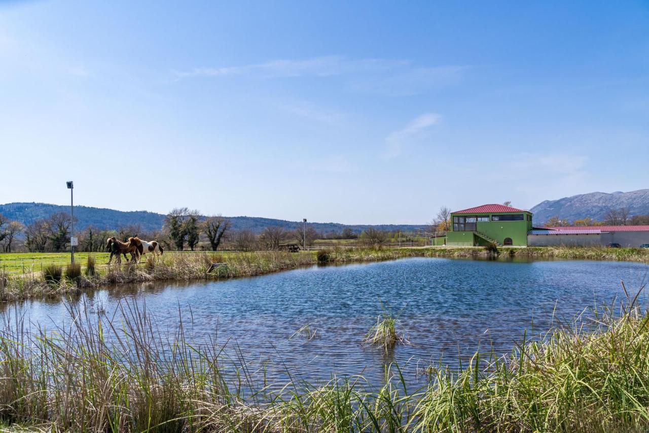 Villa Agave Gruda Екстер'єр фото
